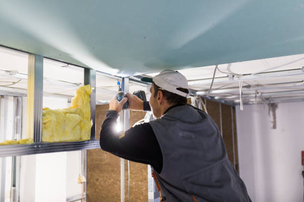 Best Specialized Insulation Services in Mission Viejo, CA